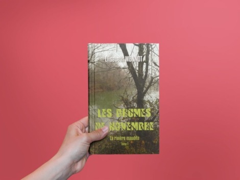 Elisabeth Monnot - Les Brumes De Novembre Tome 1